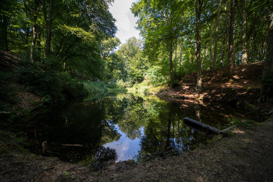 The De drie vijvers lakes in the forrest near Milsbeek