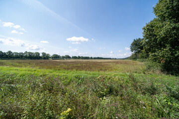 The De Diepen nature reserve in Milsbeek, The Netherlands