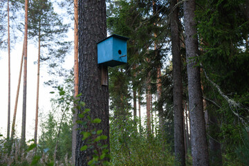 Bird house hanging om the tree in the park