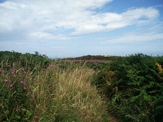 Bray to Greystones - Cliff walk, Bray, dublin, Ireland