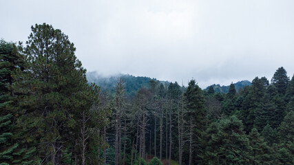 PARQUE NACIONAL NEVADO DE COLIMA