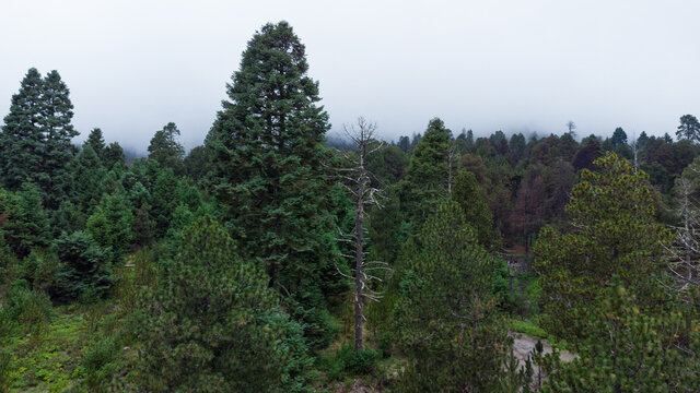 PARQUE NACIONAL NEVADO DE COLIMA