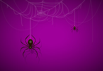 Black Spider on Purple Halloween Background