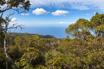 Fototapeta na wymiar View of Waimea Canyon State Park in Kauai Island in Hawaii, USA.