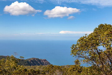 Naklejka premium View of Waimea Canyon State Park in Kauai Island in Hawaii, USA.