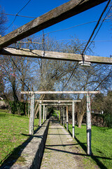 Path in the gardens of guimaraes castle