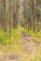 Hidden places of nature.