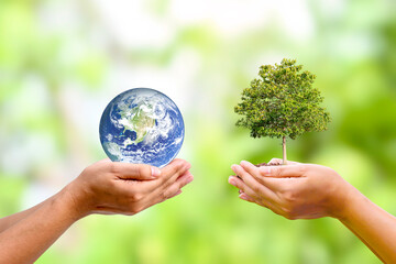 tree growing in human hand with planet in human hand world earth day and environmental conservation...