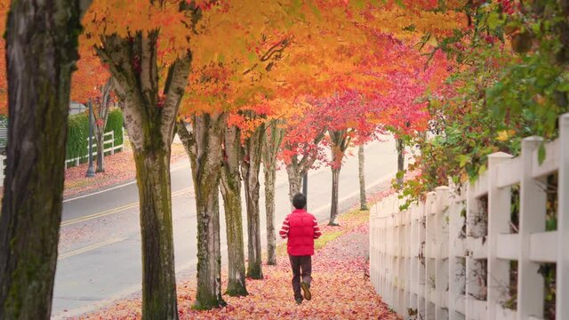 Senior man jogging along sidewalk in beautiful autumn foliage while leaves falling from the tree on a windy day