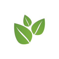 Green leaf logo