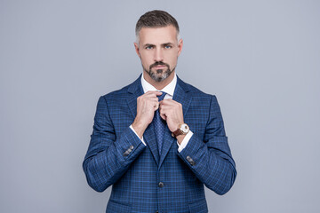 successful businessman man in businesslike suit fixing tie, fashion
