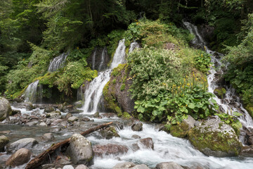 吐竜の滝　山梨県北杜市の滝　夏