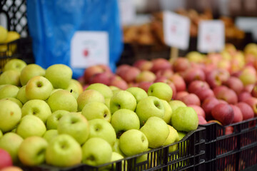 Fresh healthy bio red and green apples on street farmer market. Typical local agricultural fair of weekend. Ripe organic fruits. Sale of vegan food.