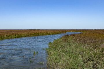 Intracoastal waterway salt marsh, coast of South Carolina, marsh grass and water, horizontal aspect