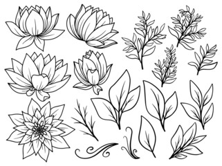 Hand drawn flower sketch line art illustration set.