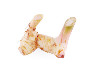 Fototapeta premium Fresh slices galangal rhizomes isolated on white background