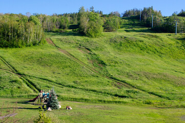 green grassy hill with blue sky and trees and ski lift in summer sun with copy space