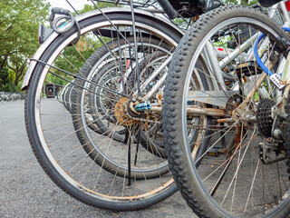 Fototapeta na wymiar Close up shot of many bicycle in campus of National Taiwan University