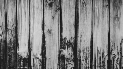 old fence planks as background, vertical monochrome