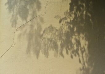 natural twig shadow overlay cement wall background