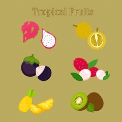 Fresh Tropical Fruits Durian Rambutan Dragon Fruit Kiwi Fruit Mangosteen Pineapple Vector Illustration