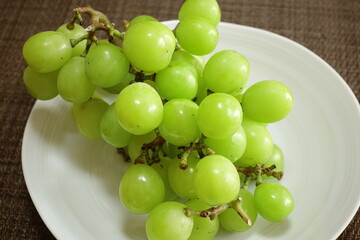 シャインマスカット