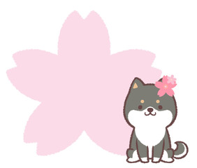 黒柴犬とサクラの花のフレーム