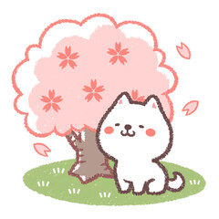 白柴犬とサクラの木