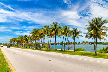 Palm trees in Miami Beach