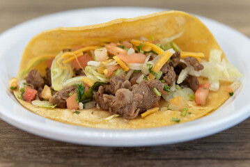 Hearty side order of an enormous taco loaded with chopped vegetables and carne asada steak meat