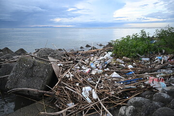 河口のプラスチックごみ