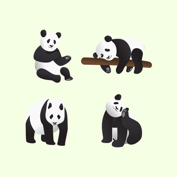 Panda in many pose flat design illustration. Bundle set vector