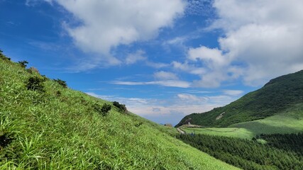 Fototapeta na wymiar Reeds and blue sky at Sinbulsan Mountain in Korea