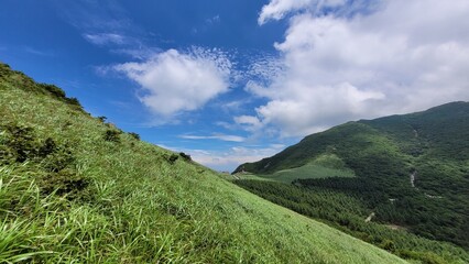 Reeds and blue sky at Sinbulsan Mountain in Korea