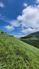 Fototapeta na wymiar Reeds and blue sky at Sinbulsan Mountain in Korea