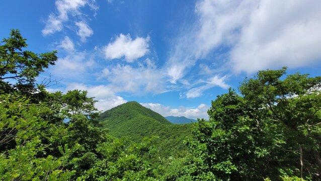 Reeds and blue sky at Sinbulsan Mountain in Korea