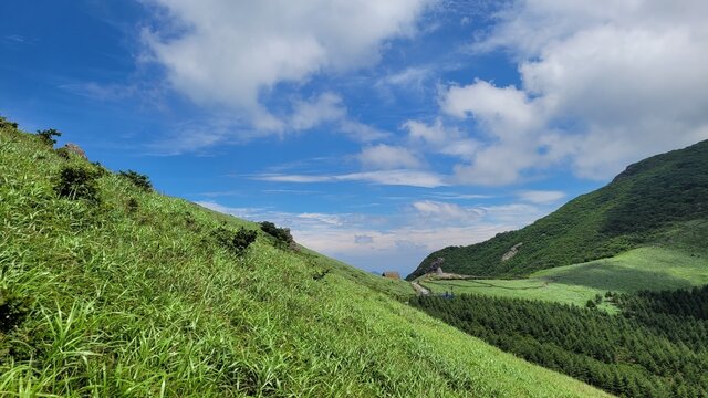 Reeds and blue sky at Sinbulsan Mountain in Korea