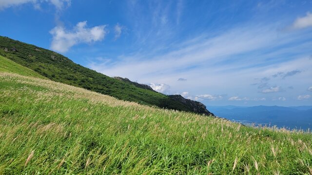 Reeds and sky at Sinbulsan Mountain in Ulju-gu, Korea
