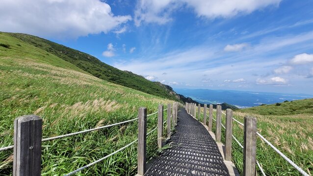 Reeds and sky at Sinbulsan Mountain in Ulju-gu, Korea