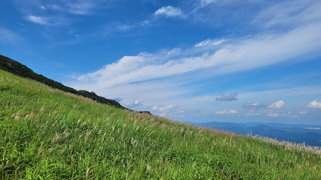 Reeds and sky at Sinbulsan Mountain in Ulju-gu, Korea