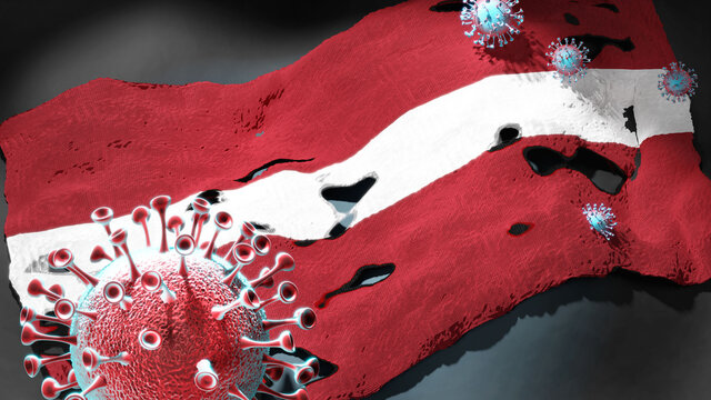 Covid in Latvia - coronavirus attacking a national flag of Latvia as a symbol of a fight and struggle with the virus pandemic in this country, 3d illustration