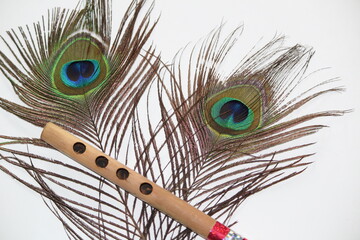 Peacock feather with Flute