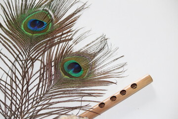 peacock feather and flute on white background