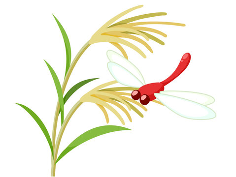 3 585 Best とんぼ Images Stock Photos Vectors Adobe Stock 3 585 Best とんぼ Images Stock Photos Vectors Adobe Stock
