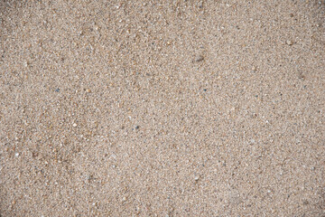 sand on the beach background. Top view