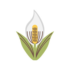 anthurium flower decoration