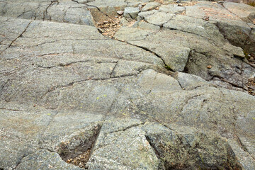 Glacial grooves and striations at the summit of Mt. Kearsarge.