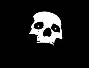 Fototapeta premium craneo