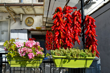 Red peppers dried in a street in the historic center of Castelsaraceno, an old town in the Basilicata region, Italy.