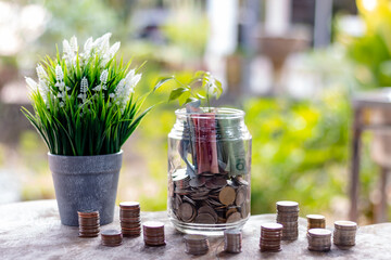 thai money in the glass